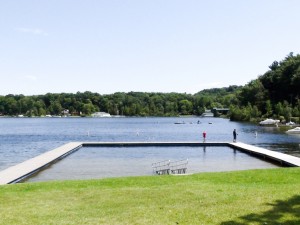 Homes on Stony Lake MI