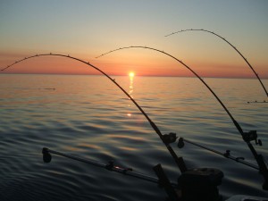 Lake MI Fishing